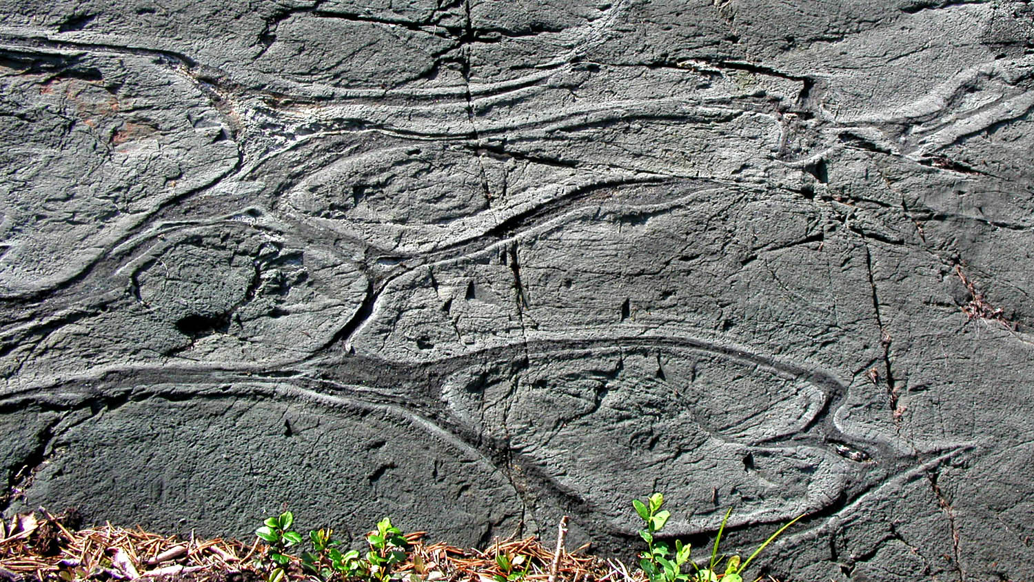 Geological Rake Geology as a science I GTK | GTK