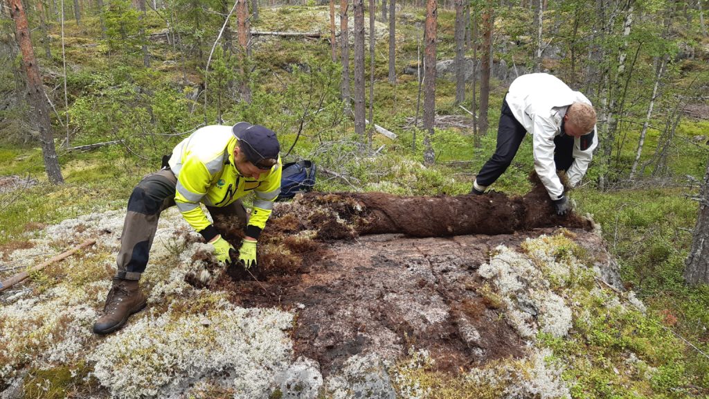 Maastotutkimusta Leppävirran Pasalanmäellä 2020