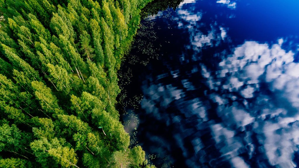Ilmakuva metsästä ja järvestä. Kuvituskuva.