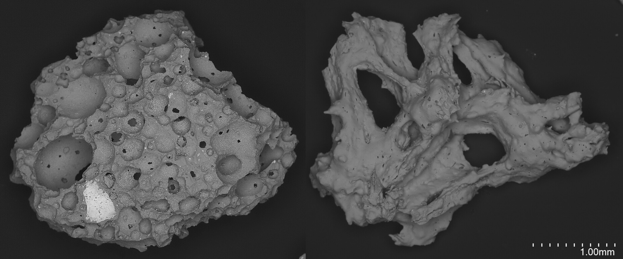 Contrasting examples of lapilli from La Palma, as viewed in a Backscattered Electron Image. Left: vesicular crystalline particle with magnetite phenocryst (bright phase); right: glassy fragment with ‘drip barbs’ and vesicles suggesting rapid quenching during the eruption.