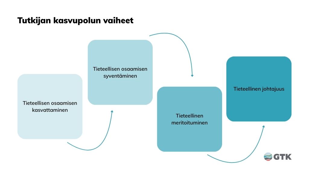 Tutkijan kasvupolun vaiheet: tieteellisen osaamisen kasvattaminen, tieteellisen osaamisen syventäminen, tieteellinen meritoituminen ja tieteellinen johtajuus.