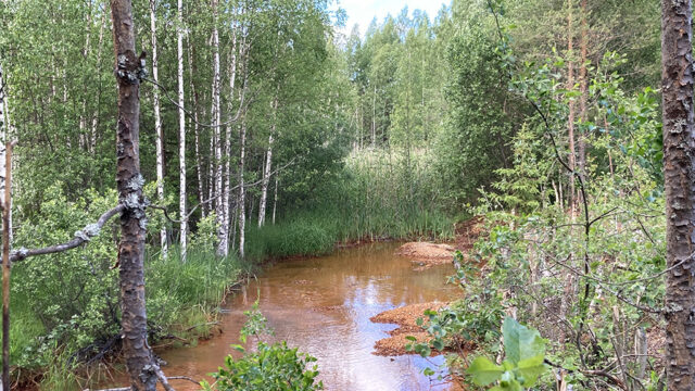 Outokummun vanhan kaivosalueen ympäristöä. Metsää ja puronuomaa, joka on muuttunut kaivostoiminnan vaikutuksesta.