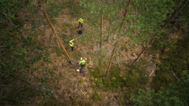 Kolme henkilöä tekee mittaustöitä metsässä.