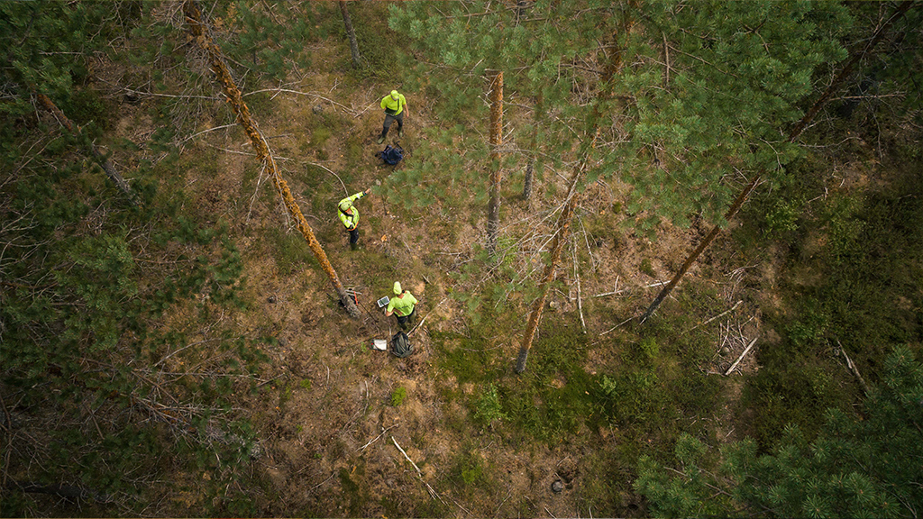 Kolme henkilöä tekee mittaustöitä metsässä.