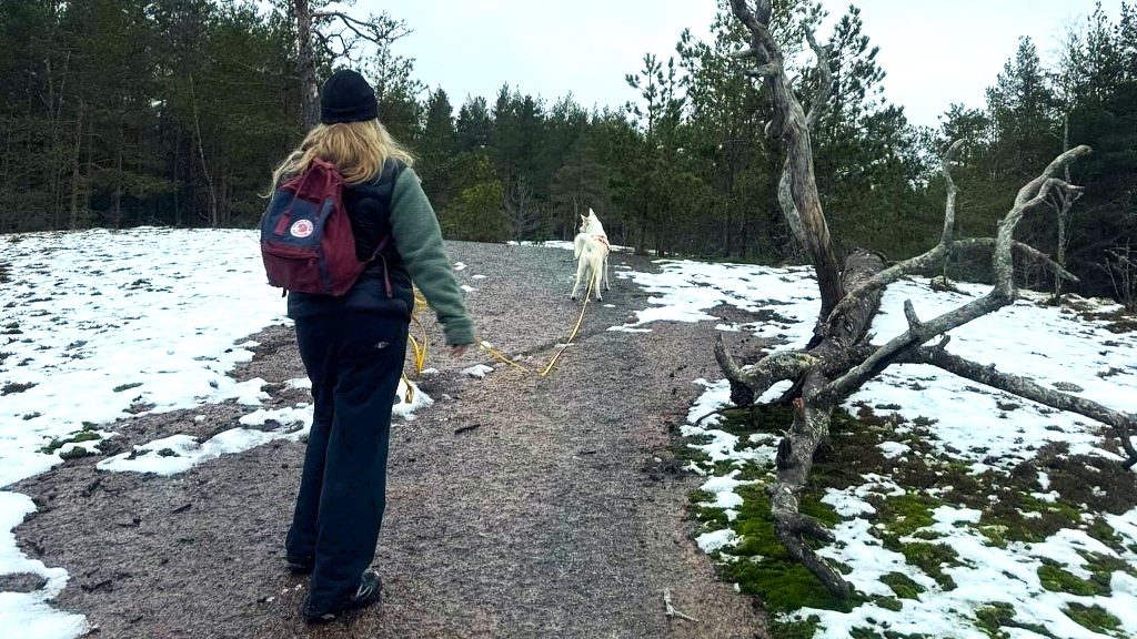 Henkilö kävelee metsäpolulla koiran kanssa. Polulla on lunta ja ympärillä puita.