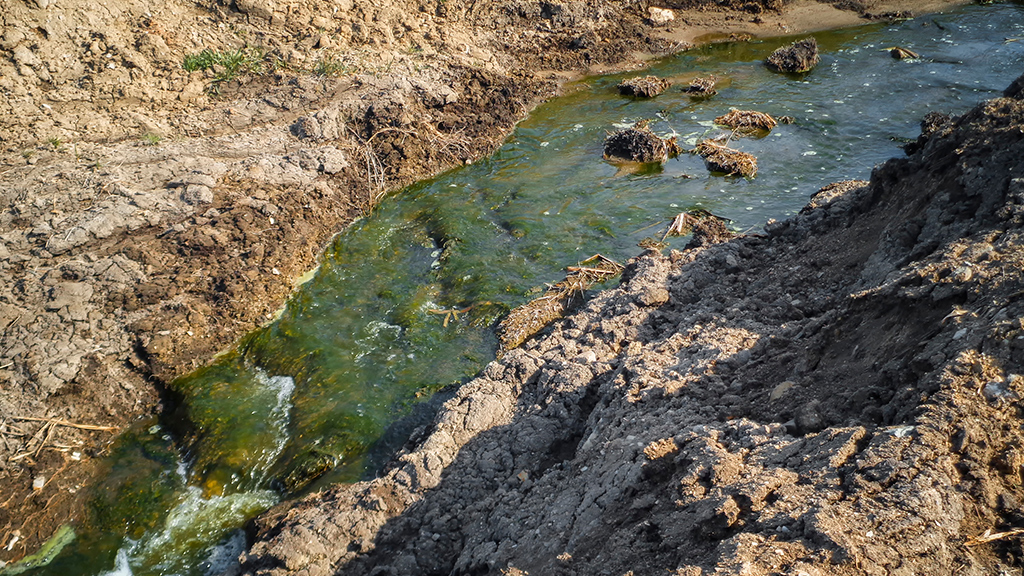 A stream flows between rocks and soil.