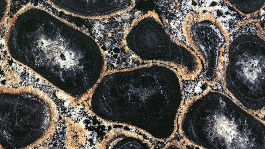 Kuvassa on kivi, jossa on mustia, soikeita muotoja vaalealla ja ruskealla taustalla.