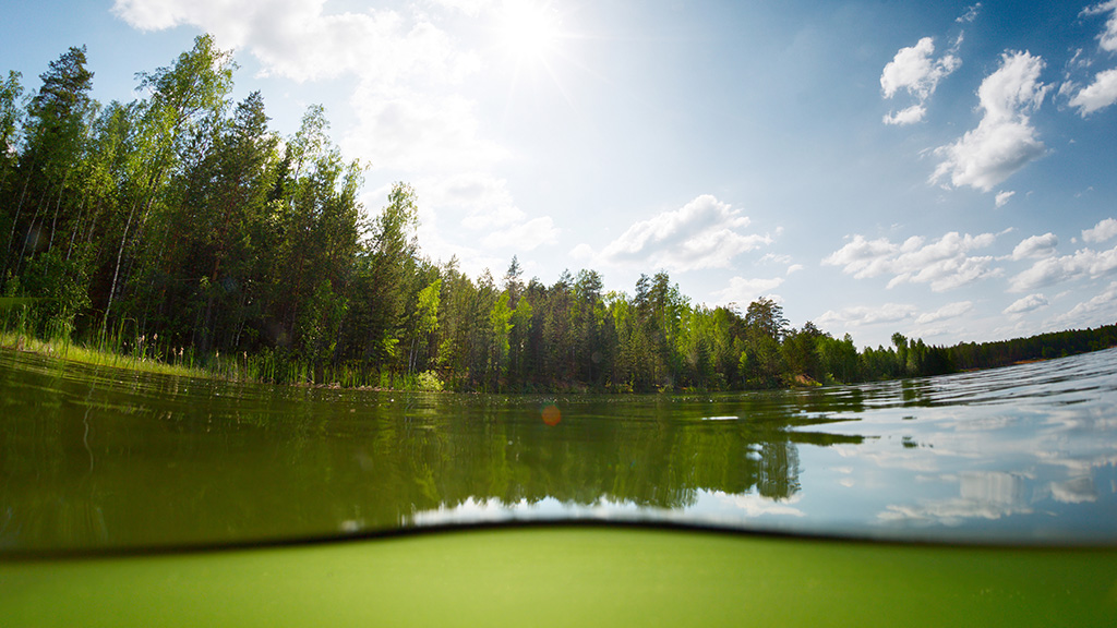 Puoliksi veden alta otettu kuva kirkkaasta järvestä, jonka rannalla kasvaa tiheä vihreä metsä. Aurinko paistaa siniseltä taivaalta, jossa on valkoisia pilviä.