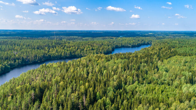 Ilmakuva Suomesta kesällä, vihreää metsää ja järviä.