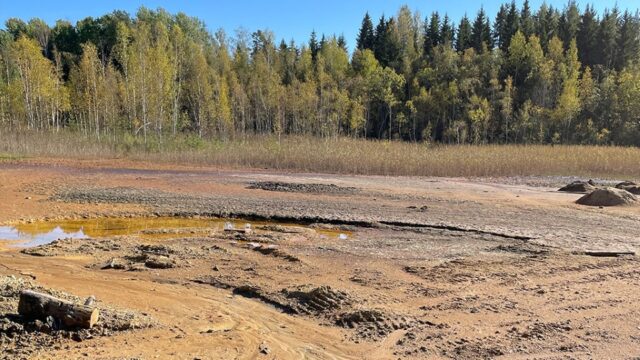 Metsän reunassa on mutainen ja vetinen alue, jossa on ruskeaa vettä ja liejua.