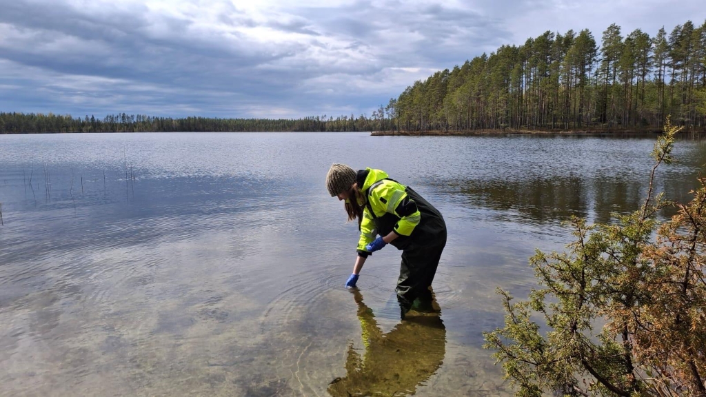 Henkilö keltaisissa huomiovaatteissa kahlaamassa matalassa rantavedessä, kumartuen veden ylle.