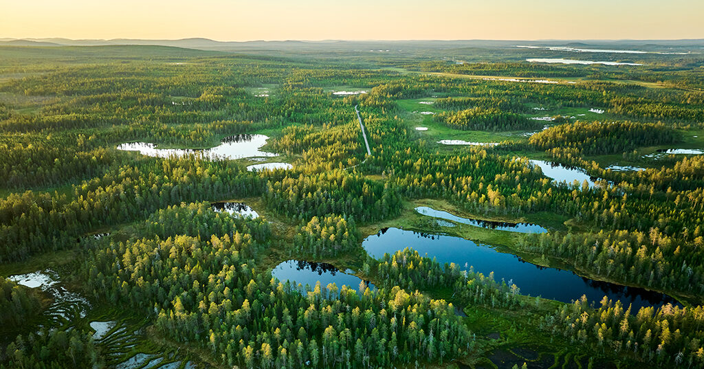 Suomi Tarvitsee Viipym tt Luonnon Monimuotoisuusstrategian GTK