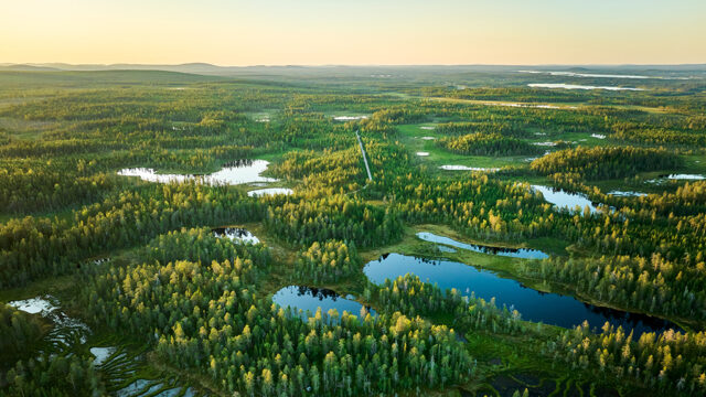 Flygbild av skog, sjöar och en väg.