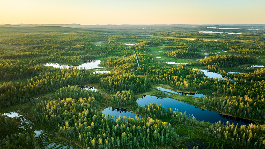 Ilmakuva metsästä, järvistä ja tiestä.