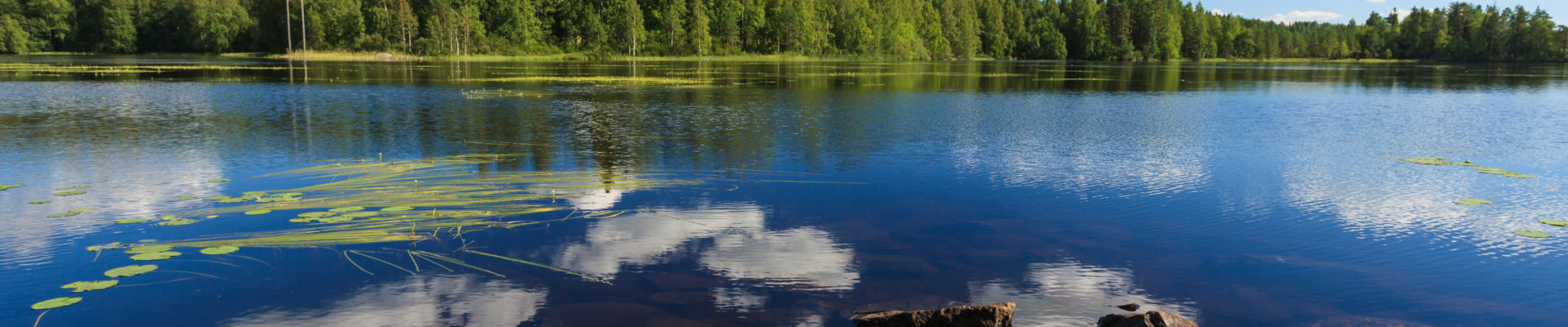 Kesäinen järvimaisema Suomesta