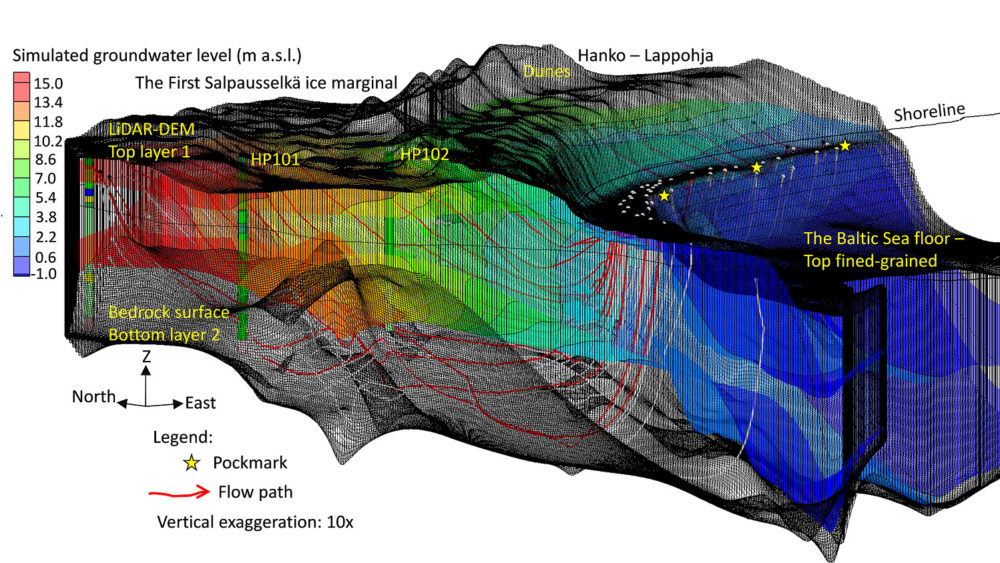 Fig. 3. 3D visualization of model grids illustrating groundwater flow paths (red and white lines). Groundwater flow is directed from the left toward the submarine discharge area on the shore platform and on the platform slope (pockmarks and white dots). The groundwater flow is confined on the seaward side by the fine-grained sediment unit, resulting in steep upward flow paths.