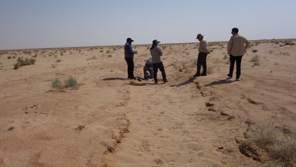 researchers at the desert
