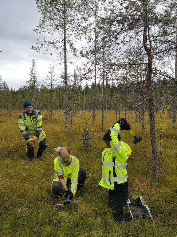 3 persons installing transmitter to the swamp.