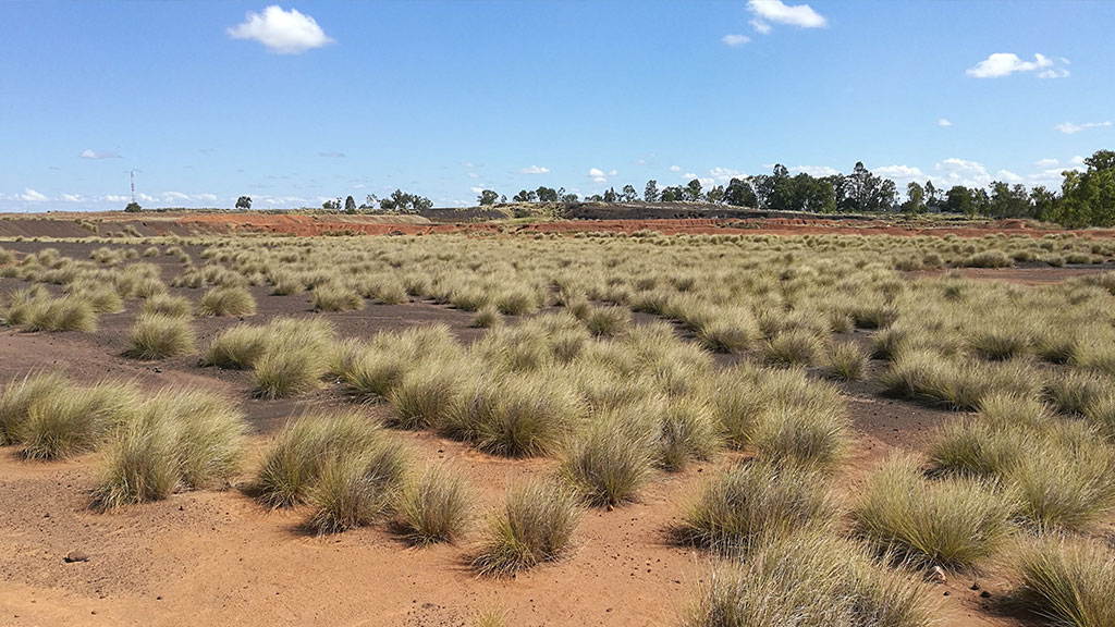 A landscape in Zambia