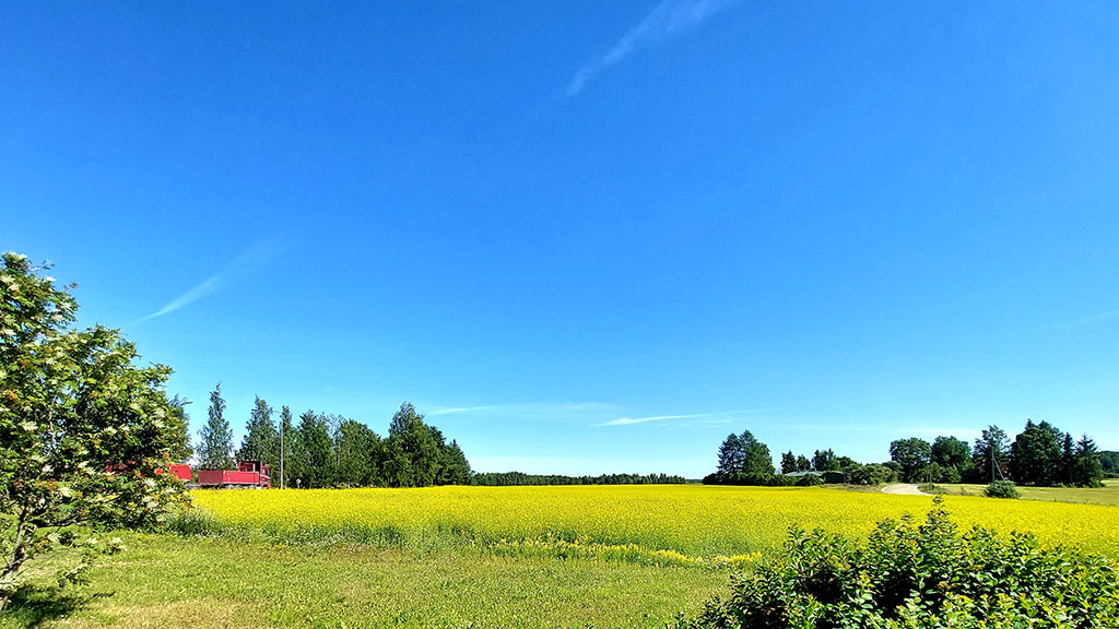 Maatilan peltomaisemaa ja sadonkorjuuta aurinkoisena kesäpäivänä Hollolassa.